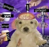 Thread 40623741 OP Image