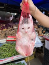 imajdfghge