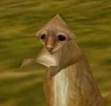 Thread 40625190 OP Image