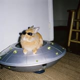 Gdl-9KYXsAAjRrb
