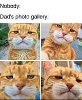 g5nd5klqmqh51