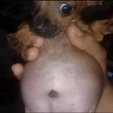 GOnH3bsaUAAAVyI