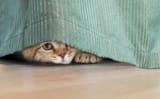 AdobeStock_288690671-scaled
