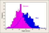 men_women_height_histogram-329482373