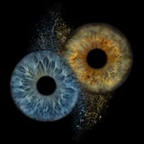 80x80_exxp