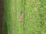 IMG_20250731_190403108