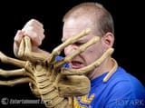 NECA-Life-Size-Alien-Facehugger-053-2976227085