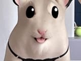 ham