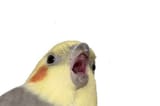 181e432b6e0c01825304b8c48047eb5e