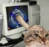 me when car