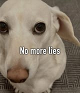 no more lies