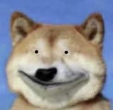 77d506b6784108041a1536973e320f82