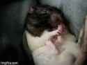 mouse-licking_thumb.jpg