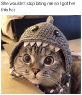 20231211_111601