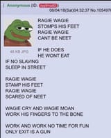 q5qpjpnrt65d1