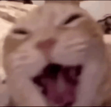 carlol