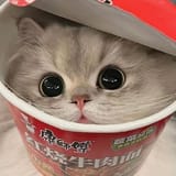 6ffj