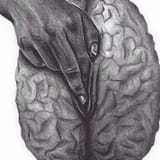 Love The Vagina Brain