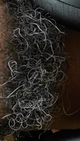 shave it off