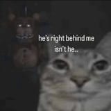 hes-right-behind-me-isnt-he-v0-yrgyujat2qzd1