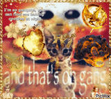 gang-pruppl