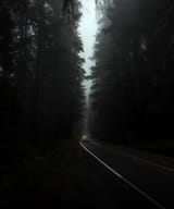 desktop-wallpaper-dark-trees-night-lights-road-fog-headlights