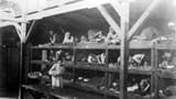 Auschwitz-Birkenau-638957095