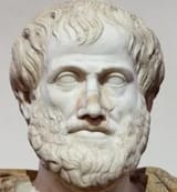 sophists btfo