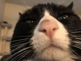 1697262011729296