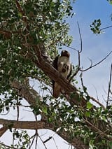 IMG_20220705_105225
