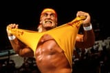 wwe-hulk-hogan