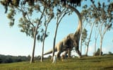 jurassic-brontosaurus-scene-gty-ps-180521_hpEmbed_21x13_992