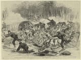 The_stampede_from_Bull_Run_0[1]