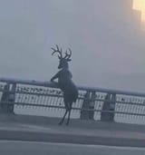 1729357154978