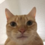 1752724855361220