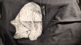 IMG-20250611-WA0011