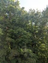 IMG_20200711_184411