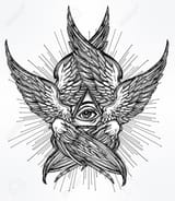1 (19)