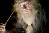 dumbledor-lede-1300x874