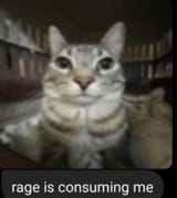 1689379193866