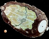 hollow asteroid
