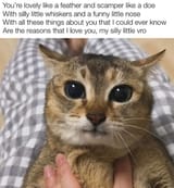 1750191189790480 d9dk