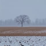 midwest