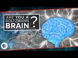 Boltzmann Brain