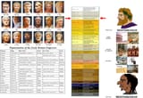 on roman phenotypes