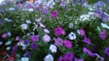 WIN_20210709_20_34_31_Pro (2)