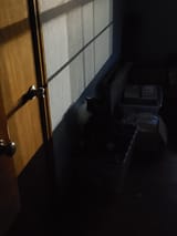 Resized_20250605_213401