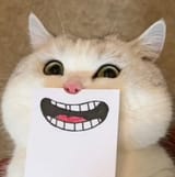 cat-face_smiley