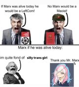 transmarx