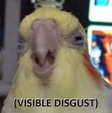 visible disgust